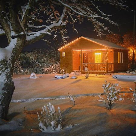 Family Hotel Maia - Cемейная Гостиница Майя Dashbashi Exteriér fotografie