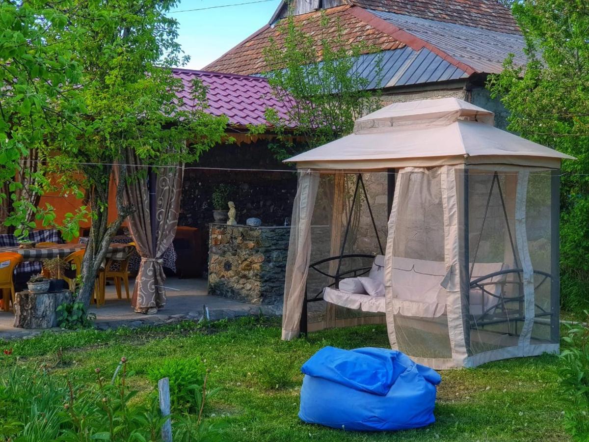 Family Hotel Maia - Cемейная Гостиница Майя Dashbashi Exteriér fotografie