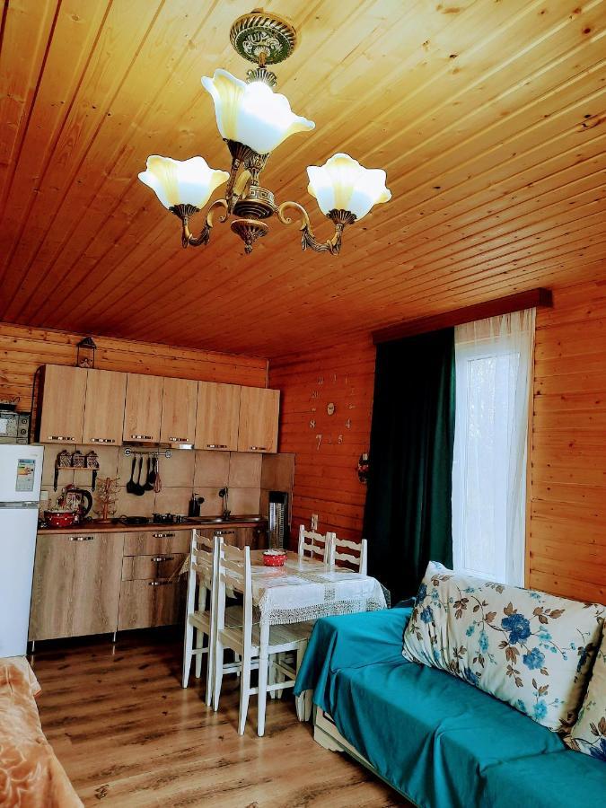 Family Hotel Maia - Cемейная Гостиница Майя Dashbashi Exteriér fotografie
