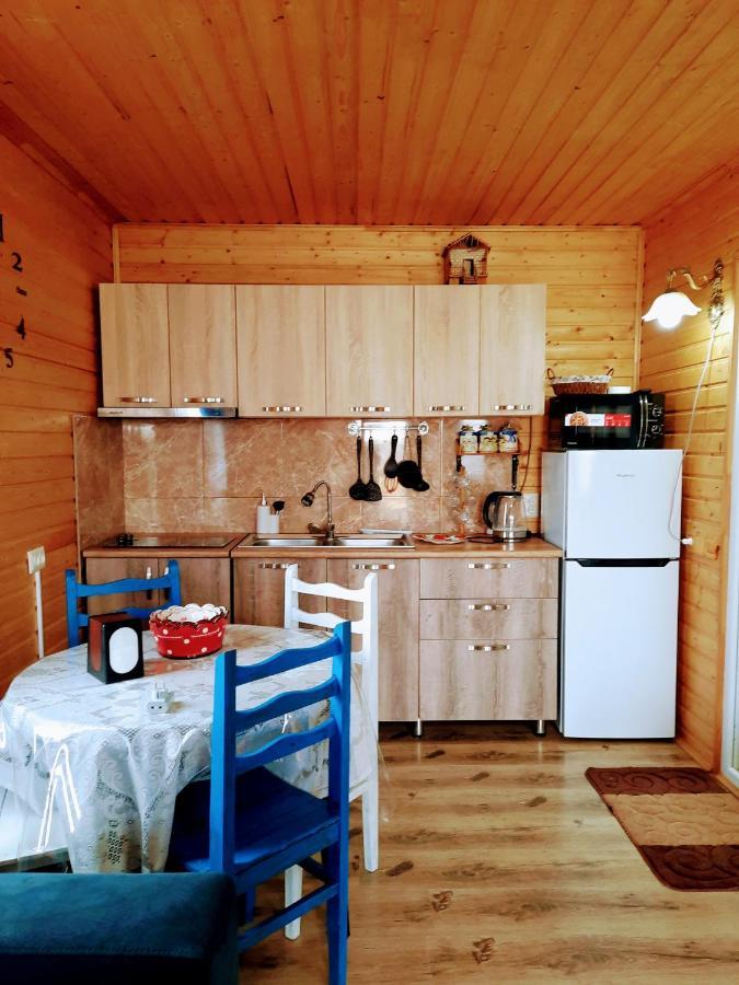 Family Hotel Maia - Cемейная Гостиница Майя Dashbashi Exteriér fotografie