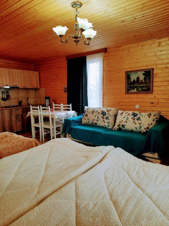 Family Hotel Maia - Cемейная Гостиница Майя Dashbashi Exteriér fotografie